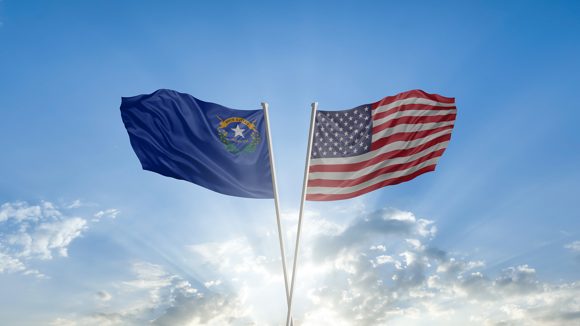 Image for Flag Status